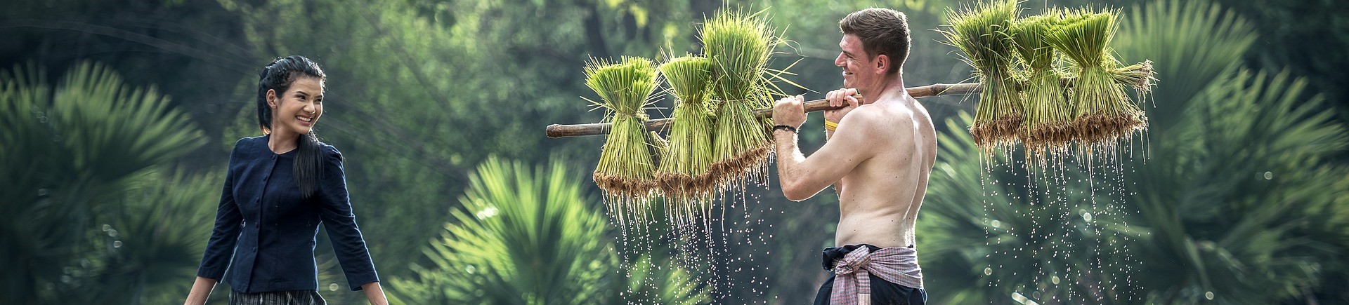 ISO 26000 Certification