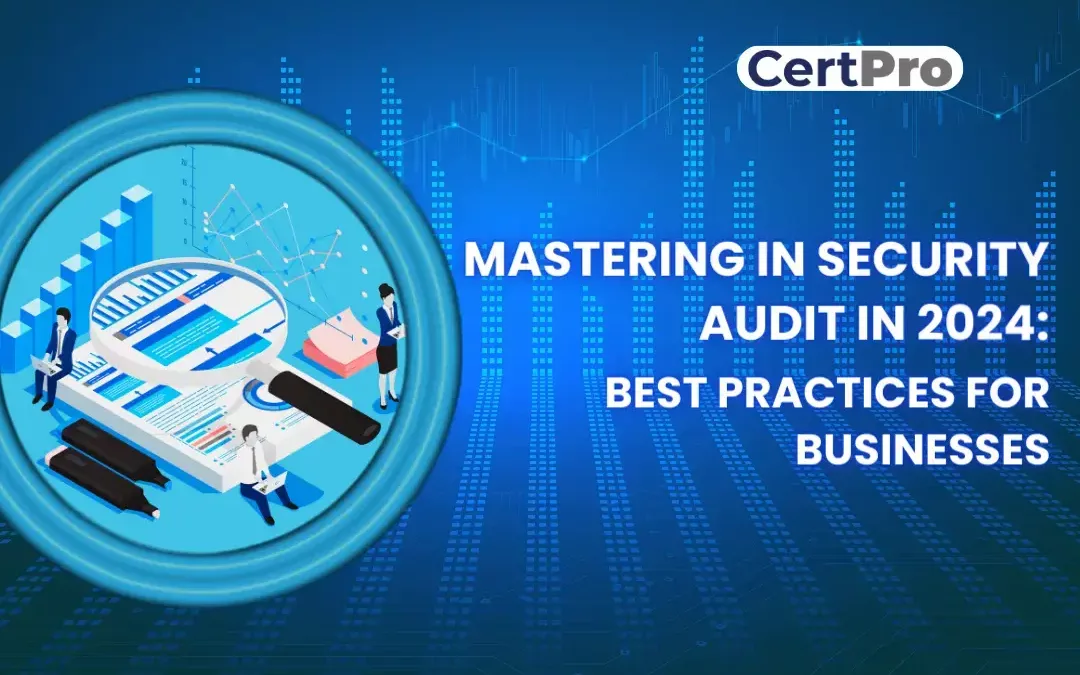 MASTERING IN SECURITY AUDIT IN 2024