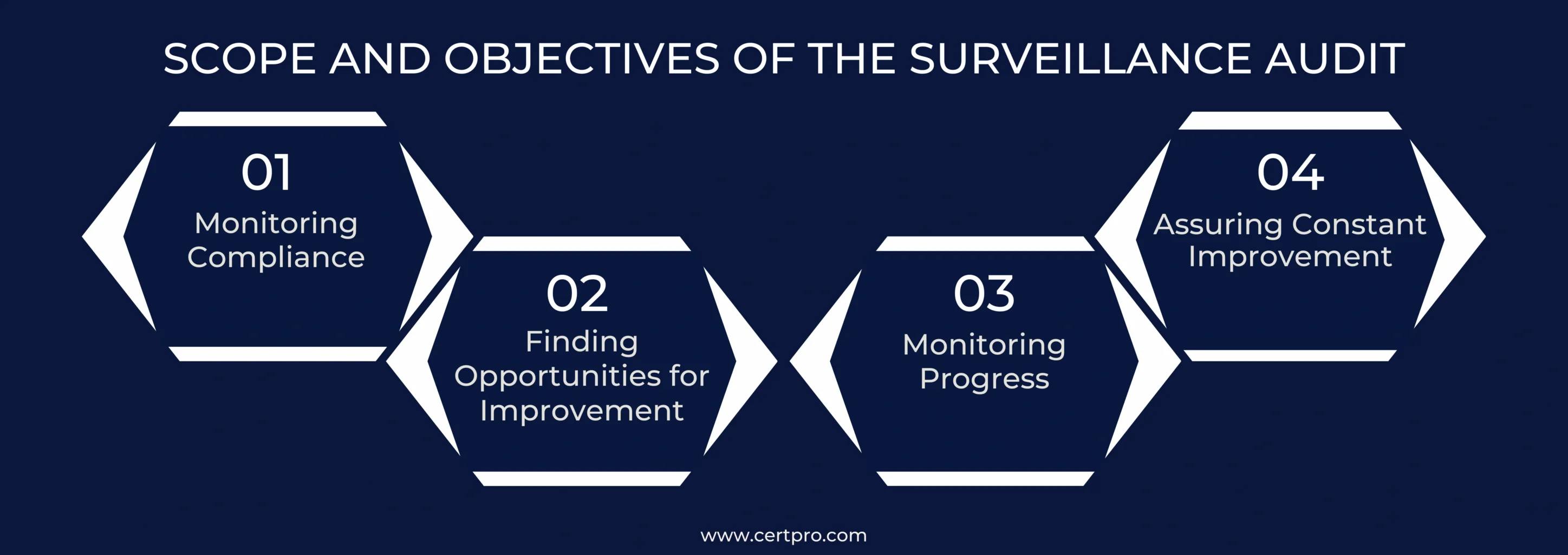 SCOPE AND OBJECTIVES OF THE SURVEILLANCE AUDIT