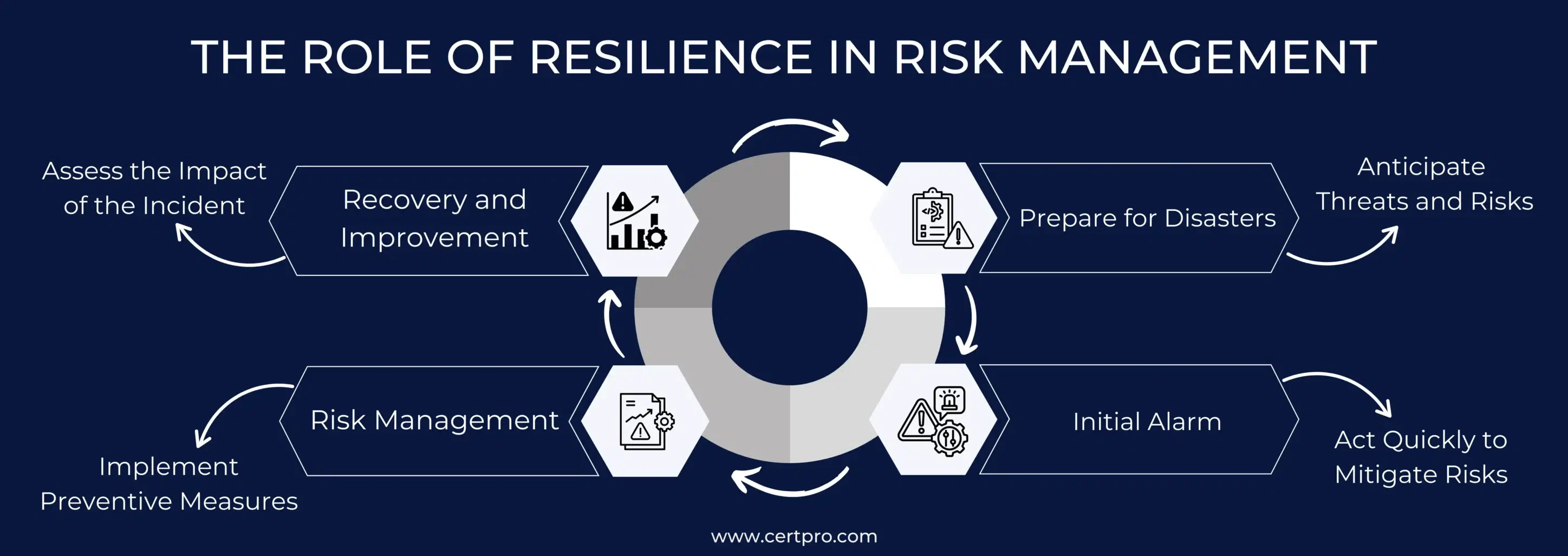 The Role of Resilience in Risk Management