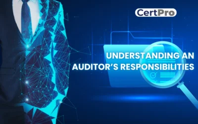 UNDERSTANDING AN AUDITOR’S RESPONSIBILITIES