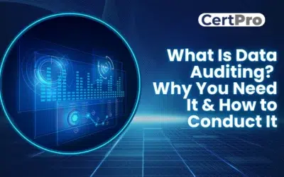 WHAT IS DATA AUDITING? WHY YOU NEED IT & HOW TO CONDUCT IT