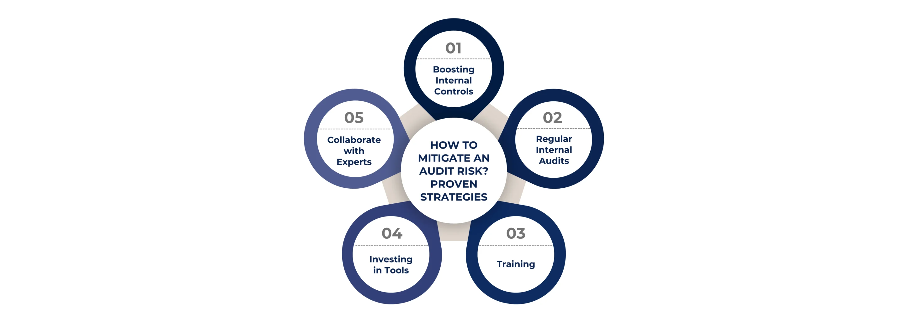 HOW TO MITIGATE AN AUDIT RISK PROVEN STRATEGIES
