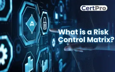 WHAT IS A RISK CONTROL MATRIX?