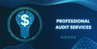  PROFESSIONAL AUDIT SERVICES