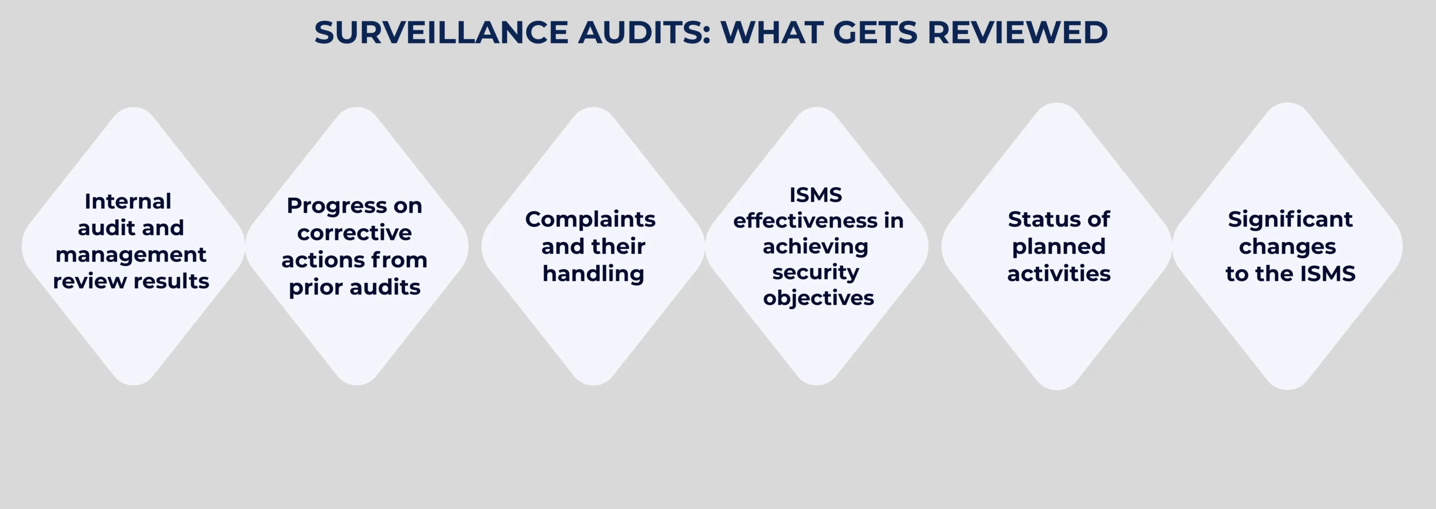 Surveillance Audits: What Gets Reviewed
